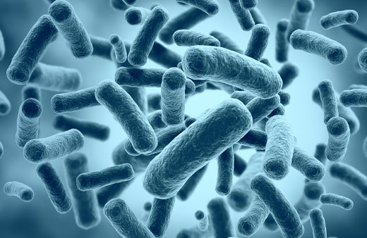 Chlamydia & Gonorrhoea Home Test Kit UK Chlamydia & Gonorrhoea Home Test Kit UK