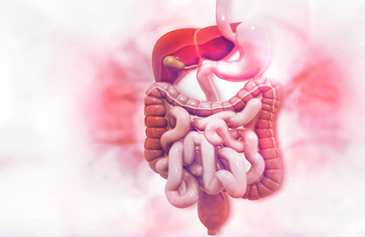 Gut Microbiome Discovery Home Test Kit UK Gut Microbiome Discovery Home Test Kit UK