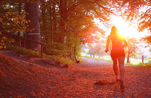 Cardiovascular Risk (hs-CRP) Home Test Kit UK Cardiovascular Risk (hs-CRP) Home Test Kit UK