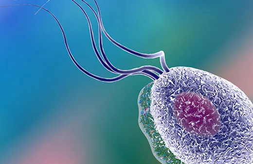 Chlamydia, Gonorrhoea & Trichomoniasis Home Test Kit UK
