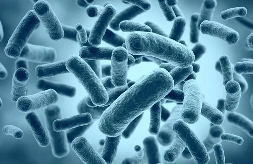 Chlamydia & Gonorrhoea Home Test Kit UK